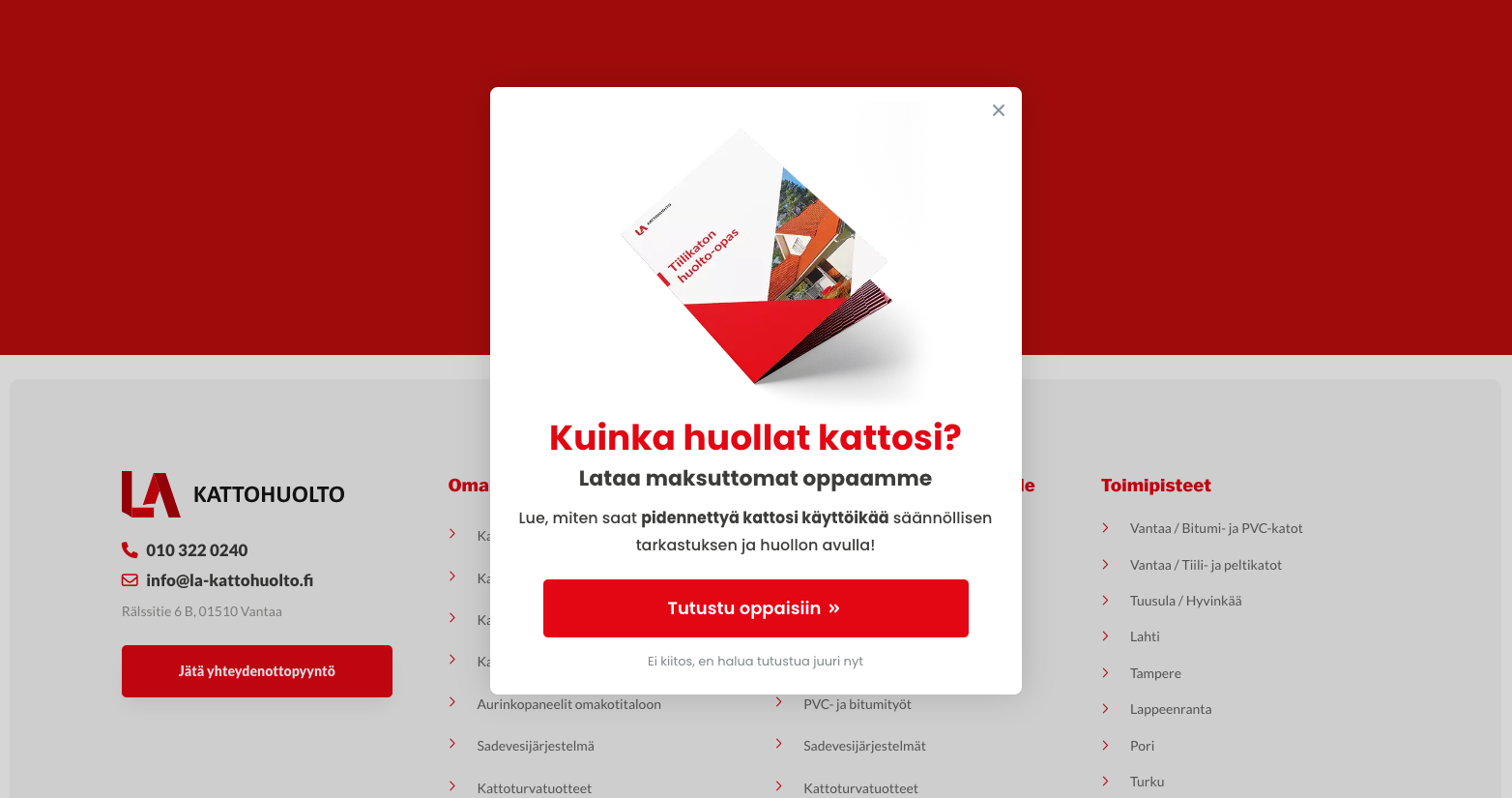 Blink - LA Kattohuolto 1