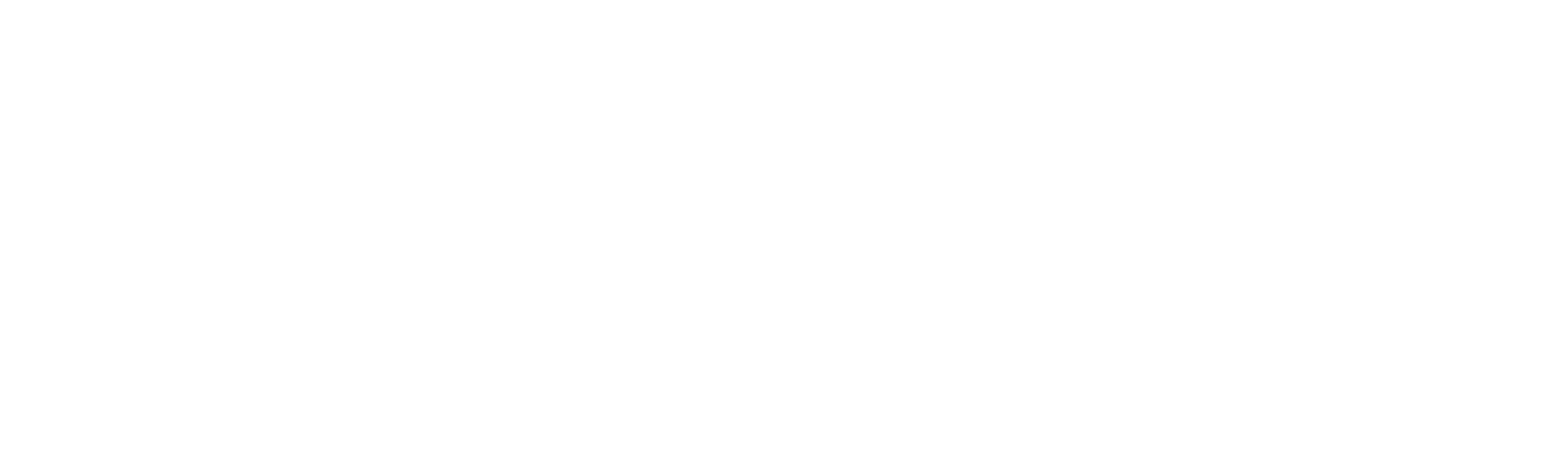 sonepar_w
