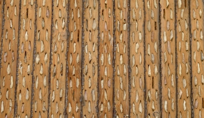 shutterstock_200814302-558125-edited.jpg